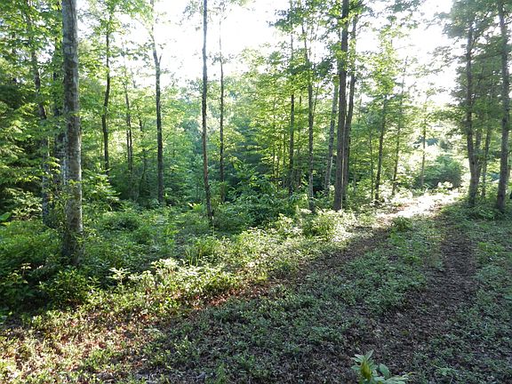 4th image of 12 Toomey Falls Rd Lot 12