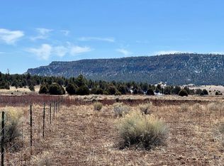 TRACT C One Forest Rd #157, Ramah, NM 87321