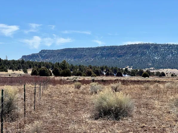 TRACT C One Forest Rd #157, Ramah, NM 87321
