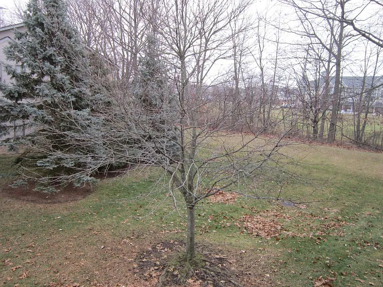 42697 Lilley Pointe Dr — Photo 3