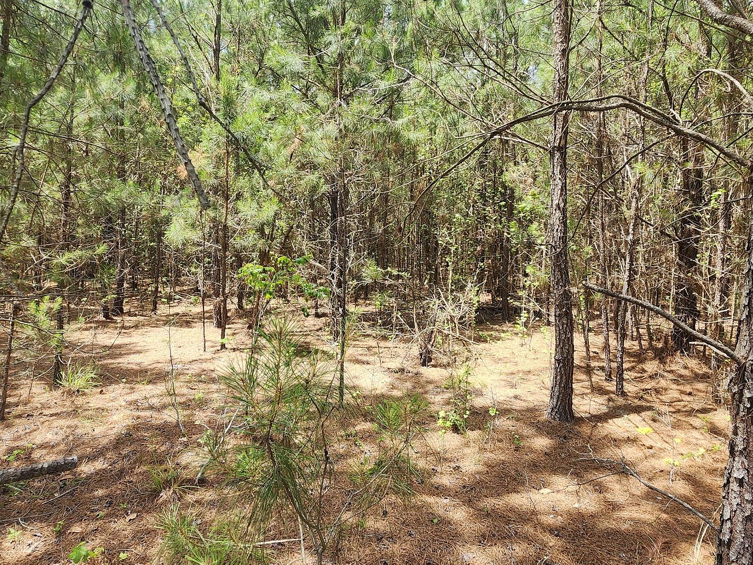0 Lost Horn Rd, Branchville, SC 29432 MLS 23011355 Zillow