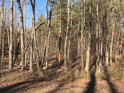 3611 Red Mountain Rd #E, Rougemont, NC, 27572