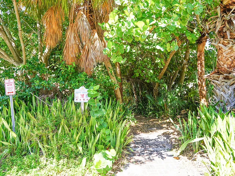 3200 Gulf Blvd #208 — Photo 49