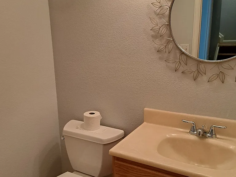 Basement_bathroom