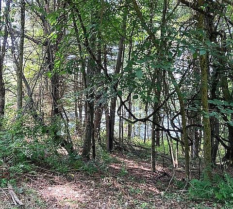 2nd image of 8 Forest Hill Way