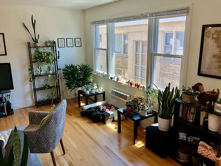 4544 N Wolcott Ave #8 — Photo 3