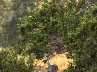 TBD Herbert-Schaefer, Fredericksburg, TX 78624