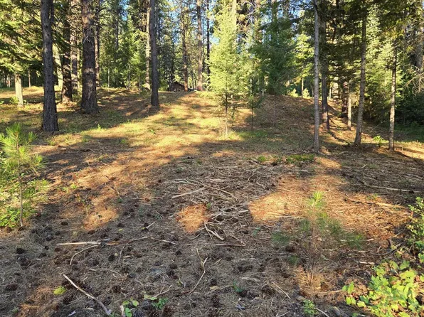 Sorrel Dr, New Meadows, ID 83654