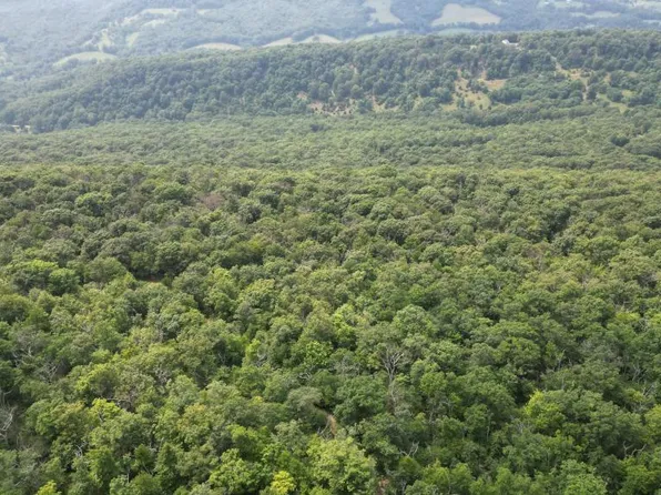 1841 Panther Rd, Maysville, WV 26833