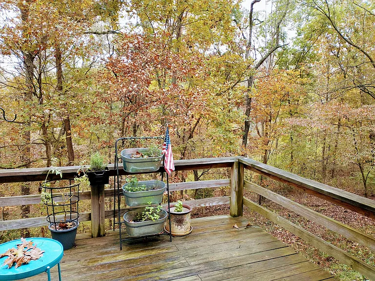 42 Sandwick Dr — Photo 6