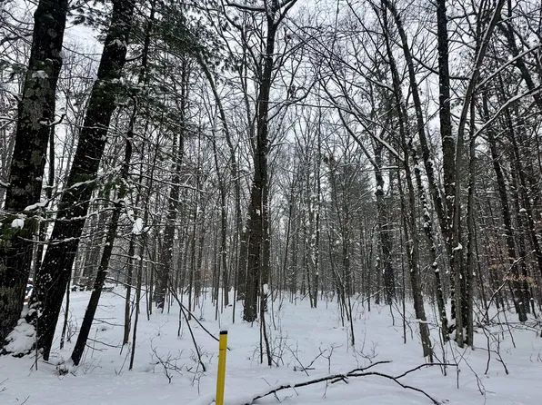 0 Saux Ln, Big Rapids, MI 49307