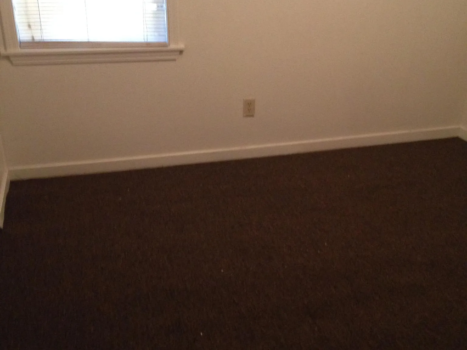 3011 Autumn Pl — Photo 4