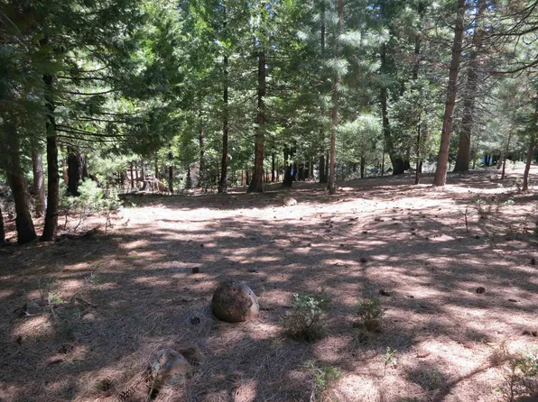 1016 Timber Ridge Rd, Westwood, CA 96137