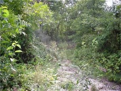 545 N Lindsey Rd, Winfield, MO, 63389