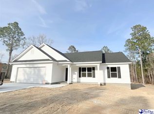 6695 George Coker Ln, Cheraw, SC 29520