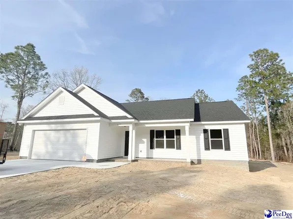 6695 George Coker Ln, Cheraw, SC 29520