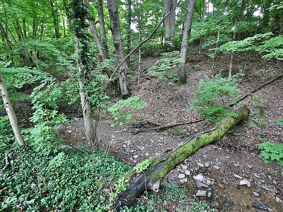 2nd image of 360 Adena Brook Ln