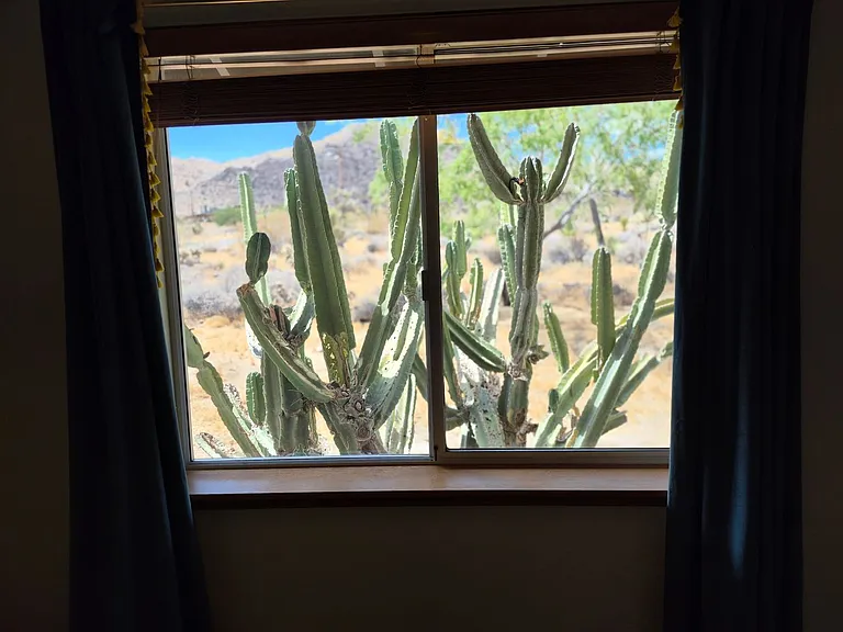 60111 Pueblo Trl — Photo 10