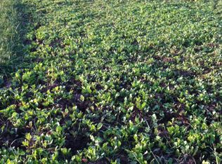 73260 Reservoir Hill Rd, Flushing, OH 43977