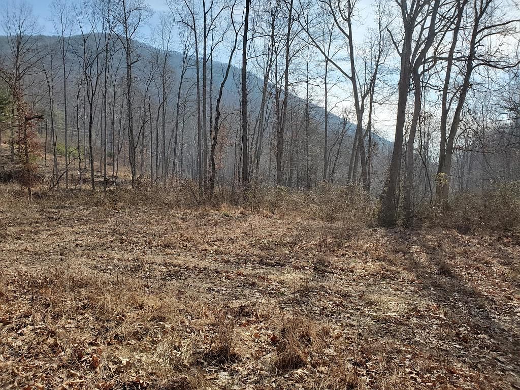 Mountain Valley Rd, Millboro, VA 24460 Zillow