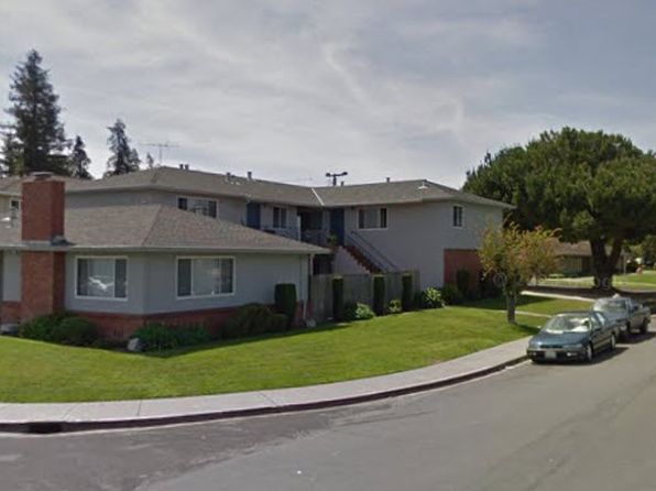 1882 Amelia Way APT 4
