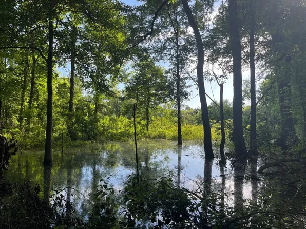 0 Highway 28, Jonesville, LA 71343