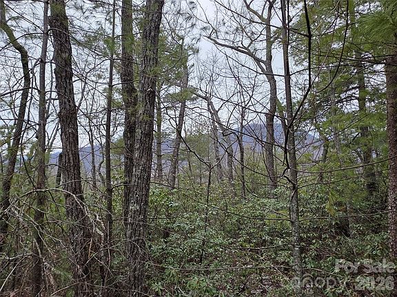 3rd image of LOT 24A-28A Quail Dr