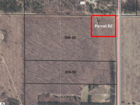 PARCEL B2 Johnson Rd, Mancelona, MI 49659