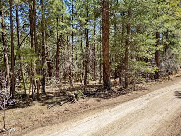 14 County Road 2134, Alpine, AZ 85920