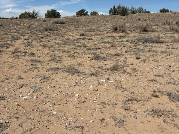 Urraca St NW, Albuquerque, NM 87120