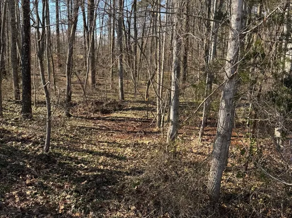 0 Zachary Taylor Hwy, Unionville, VA 22567