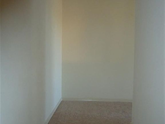 4th image of 3604 Morning Star Dr