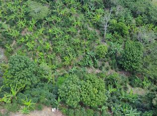 Km 12.4 Carr #505, Ponce, PR 00731