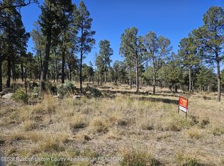 104 Merlyn Dr, Ruidoso, NM 88345