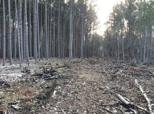 15695 Crescent Ridge Trl, Nevis, MN 56467