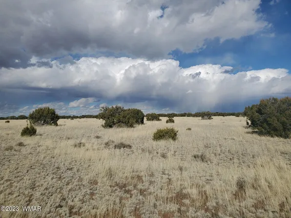 County Road 5074, Concho, AZ 85924