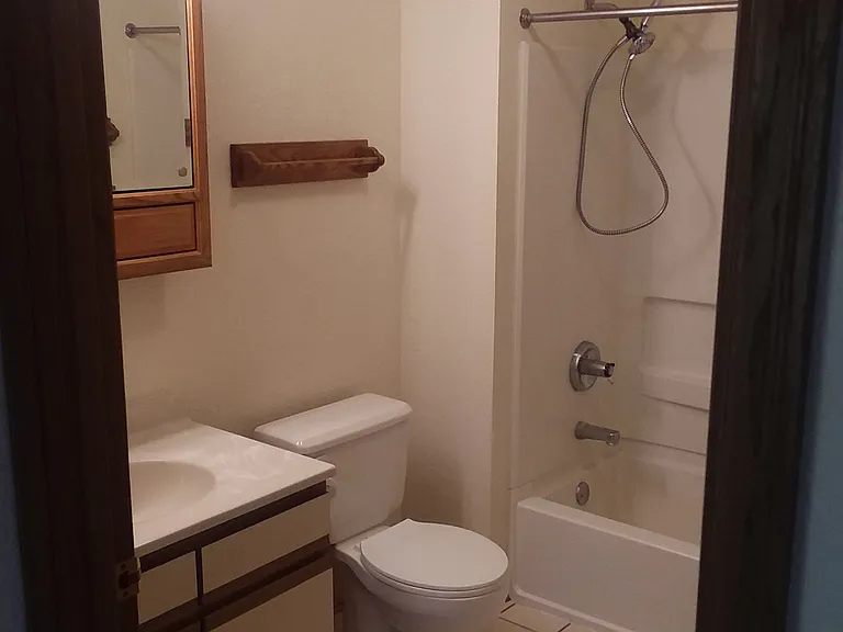 9899 Morgan Oaks Dr #5 — Photo 6