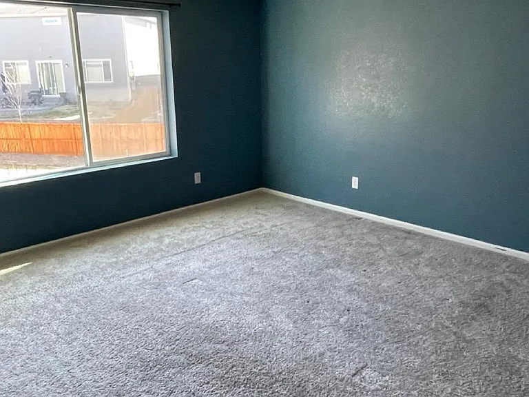 New vinyl flooring installed (no carpet)