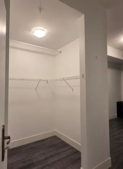 253 Albert St #312 — Photo 5
