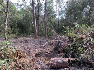 139 Nettles Rd, Florahome, FL 32140