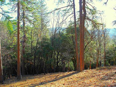 23753 Rusty Spur Rd, Sonora, CA, 95370