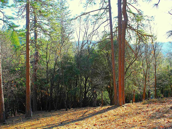 23753 Rusty Spur Rd, Sonora, CA 95370