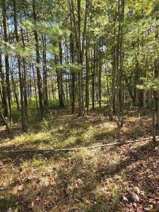 32 Andrews Rd, Vestal, NY, 13850