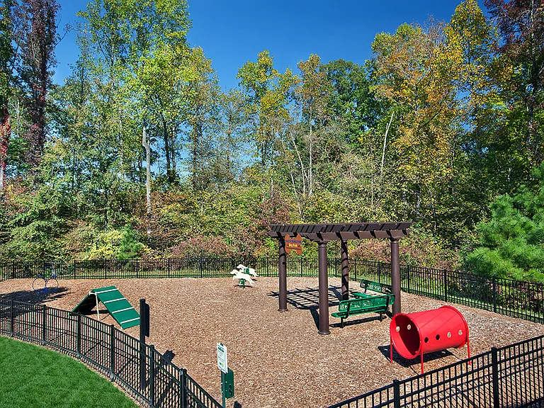 Dog Park