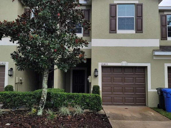 20403 Berrywood Ln, Tampa, FL 33647
