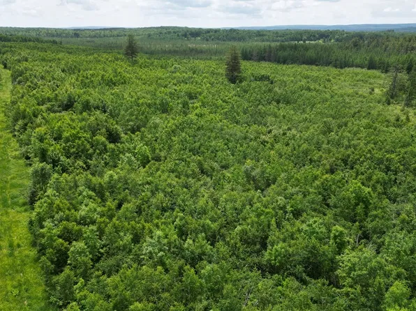 80 Acres Off of Highway 40, Radisson, WI 54867