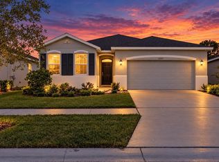 13337 Waterleaf Garden Cir, Riverview, FL 33579