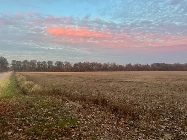 County Road 237, Bloomfield, MO 63825