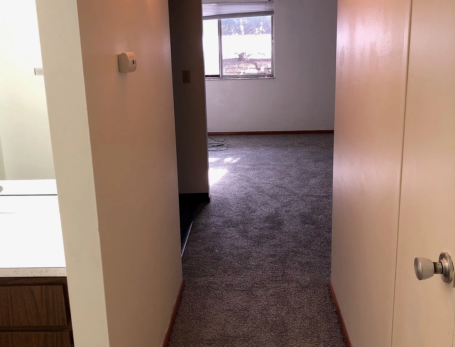 2 bed, $895 — Photo 3