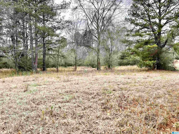 0 Highway 231 #0, Cropwell, AL 35054